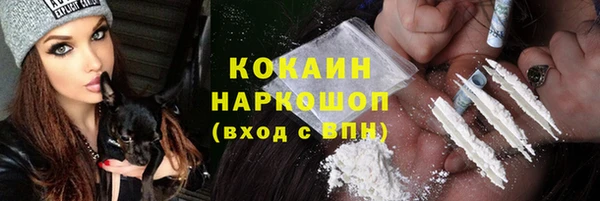 дживик Алексин
