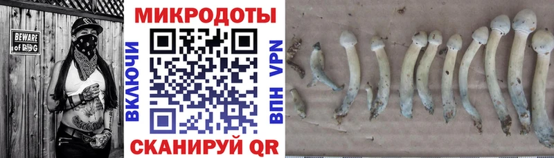 Псилоцибиновые грибы MAGIC MUSHROOMS  Протвино 