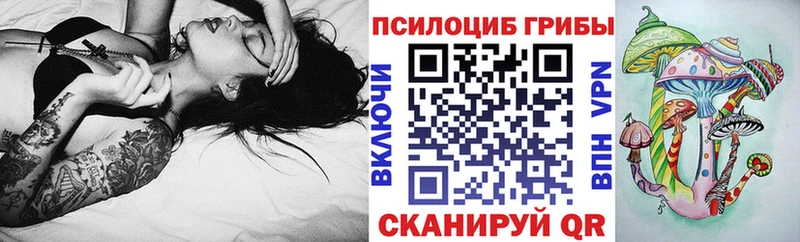 Галлюциногенные грибы Psilocybine cubensis Протвино