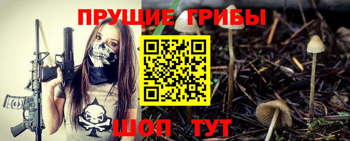 Галлюциногенные грибы мицелий Протвино